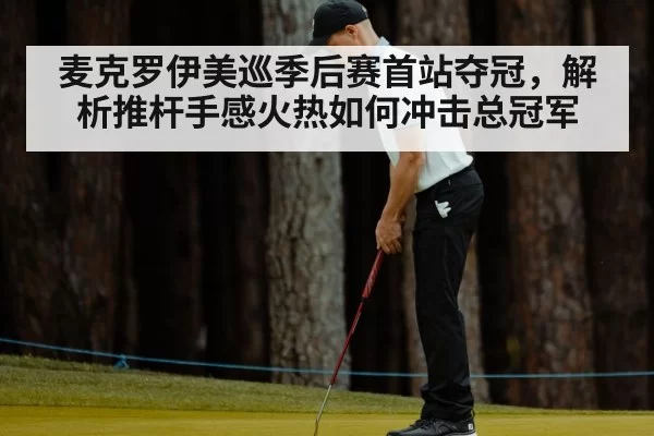 麦克罗伊美巡季后赛首站夺冠，解析推杆手感火热如何冲击总冠军